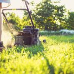 How To Start A Landscaping And Lawn Care Business From Scratch: Step-by-Step Guide